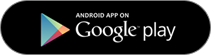 Google Store